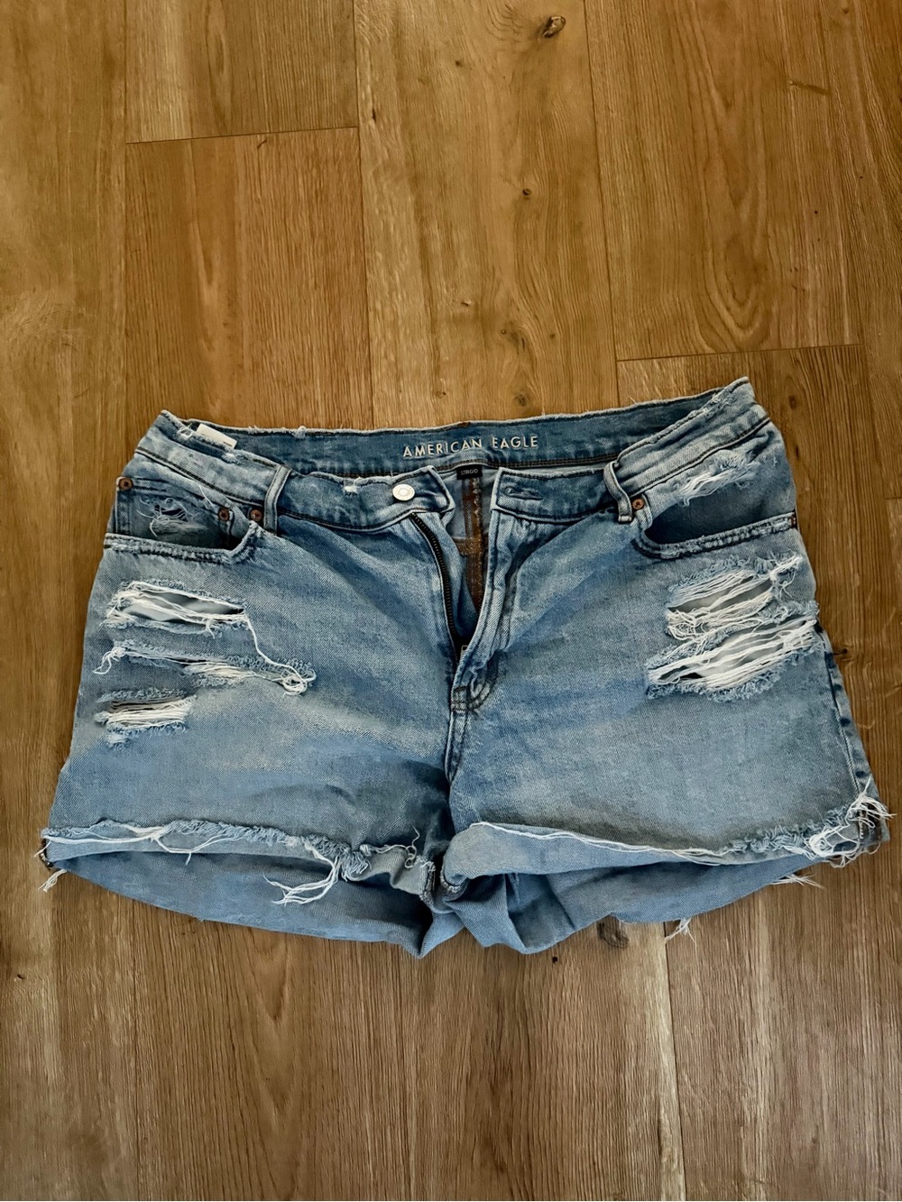 American Eagle Outfitters Distressed Light Blue Strigid Denim Shorts